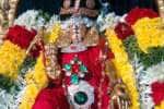 திருப்பரங்குன்றம் எண்ணெய் காப்பு திருவிழா நிறைவு
