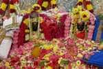 ருக்மணி விட்டலன் திருக்கல்யாணம்: ஏராளமான பக்தர்கள் தரிசனம்