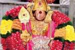 பழநி பாதயாத்திரை பக்தர்களுக்கு ஒரு லட்சம் ‘டியூப் லைட்’