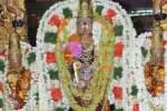 வீரராகவர் கோவிலில் ஏகாதசி திருமஞ்சனம்