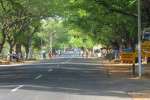 திருவண்ணாமலை கிரிவலம் பாதை விரிவாக்கம் : கலெக்டர் ஆய்வு