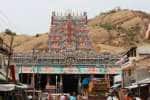 திருப்பரங்குன்றம் தெப்பத்திருவிழா ஜன.8ல் துவக்கம்