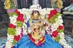 வீரநாராயண பெருமாள் கோவிலில் தாயார் உற்சவம்