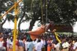 தேவதானம்பேட்டை தண்டாயுதபாணி கோவில் தைப்பூசம்
