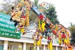 பழநியில் தொடரும் தைப்பூச விழா காவடிகள்