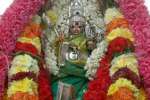 ஓங்காளியம்மன் கோவிலில் தேரோட்டம் கோலாகலம்