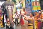 ராமேஸ்வரம், உற்சாகத்துடன் வந்த கோயில் யானை  ராமலெட்சுமி