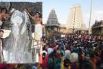 அருணாச்சலேஸ்வரர் கோவிலில் சனி பிரதோஷம்