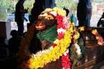 தும்பைப்பட்டி சங்கரநாராயணனர் கோவிலில் சனி மஹா பிரதோஷ வழிபாடு