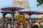 திருவள்ளூர் வீரராகவர் கோவிலில் கருடசேவை விமரிசை