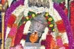சதுரகிரி மலையில் அலைமோதிய பக்தர் கூட்டம்