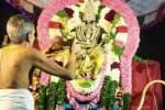 எல்லையம்மன் கோவிலில் சாகை வார்த்தல் விழா