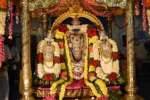 வைகுண்டவாச பெருமாள் கோவிலில் ரதசப்தமி மகோற்சவம்