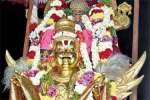 தங்க கருட வாகனத்தில் ஸ்ரீமுஷ்ணம் பூவராக சுவாமி அருள்பாலிப்பு