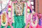 விழுப்புரம் செல்லியம்மன் கோவிலில் ராகு - கேது பெயர்ச்சி விழா