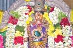 அழகர்கோவில் தெப்பத்திருவிழா: ஏராளமான பக்தர்கள் தரிசனம்