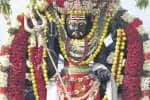 நவநிதீஸ்வரர் கோவிலில் பைரவர் சிலை பிரதிஷ்டை
