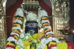 திருப்பூர் சிவாலயங்களில் எதிரொலித்த நமசிவாய: மகா சிவராத்திரி விழா கோலாகலம்