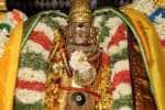 மீனாட்சி அம்மன் கோயில் கோடை வசந்த உற்சவம்