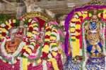 அருணாசலேஸ்வரர் தாமரை குளத்தில் பாலிகை விடும் நிகழ்ச்சி