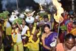 திருப்பூர் முத்துமாரியம்மன் கோவில் பூச்சாட்டு விழா