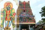 வடபழனி முருகன் கோவிலில் தமிழில் அர்ச்சனை