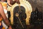 திருப்பாதிரிப்புலியூர் பாடலீஸ்வரர் கோவிலில் அம்மனுக்கு அபிஷேகம்