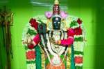 சிறப்பு அலங்காரத்தில் பண்ருட்டி திரவுபதியம்மன்