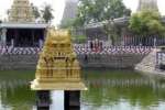 காஞ்சிபுரம் வைகாசி பிரம்மோற்சவ விழா: அனந்தசரஸ் குளம் தூய்மைப்படுத்த ஏற்பாடு