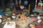 பாடலீஸ்வரர் கோவிலில் சிறப்பு ஹோமம்