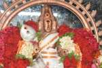 பழநியில் வைகாசி விசாக திருவிழா 12ல் துவக்கம்