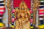 முத்துமாரியம்மன் கோவில் திருவிழா கோலாகலம்