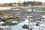 ராமேஸ்வரத்தில் அக்னி தீர்த்த கடல் உள்வாங்கியது