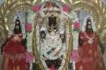 நெல்லிக்குப்பம் வீரபத்திர சுப்ரமணிய சுவாமி கோவிலில் கிருத்திகை உற்சவம்