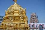 பழநி கோயில் உண்டியலில்38 நாட்களில் ரூ.3.63 கோடி