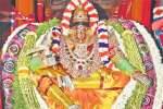 வீரபாண்டி கவுமாரியம்மன் கோயில் சித்திரை தேரோட்டம்