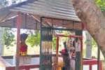 தொழில் வெற்றி தரும் நாகம்மன்
