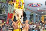 விஸ்வேஸ்வரசுவாமி கோவிலில் தேர்த்திருவிழா துவக்கம்