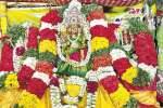 ரேணுகாம்பாள் கோவிலில் 17ம் தேதி தேர் திருவிழா