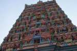 திருத்தணி கோவில் ராஜகோபுரத்திற்கு படிகள் அமைக்கும் திட்டம் முடக்கம்