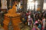 கடலூர் பாடலீஸ்வரர் கோவிலில் பிரதோஷ சிறப்பு பூஜை