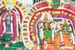 திருப்புத்தூர் திருத்தளிநாதர் கோயில் வைகாசி விசாக திருவிழா