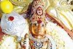 தர்மராஜன்கோட்டை பாலதண்டாயுதபாணி கோயில் வைகாசி திருவிழா