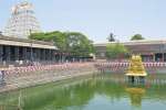 அத்தி வரதர் வைபவத்திற்காக கோவிலில் ஏற்பாடுகள் தீவிரம்