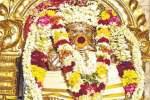 சுந்தர விநாயகர் கோயிலில் வருஷாபிஷேக விழா