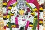 தேய்பிறை அஷ்டமி வழிபாடு பைரவரை தரிசித்த பக்தர்கள்