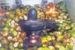 பெரியகுளம் காளஹஸ்தீஸ்வரர் கோயிலில் சிறப்பு பூஜை