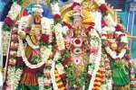 விஸ்வநாத சுவாமி கோயில் வைகாசி விழா துவங்கியது