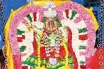 வீணங்கேனி தில்லை அம்மன் கோவிலில் ஊஞ்சல் உற்சவம்