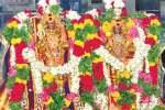 விருதுநகர் வெயிலுகந்தம்மன் கோயில் தேரோட்டம்